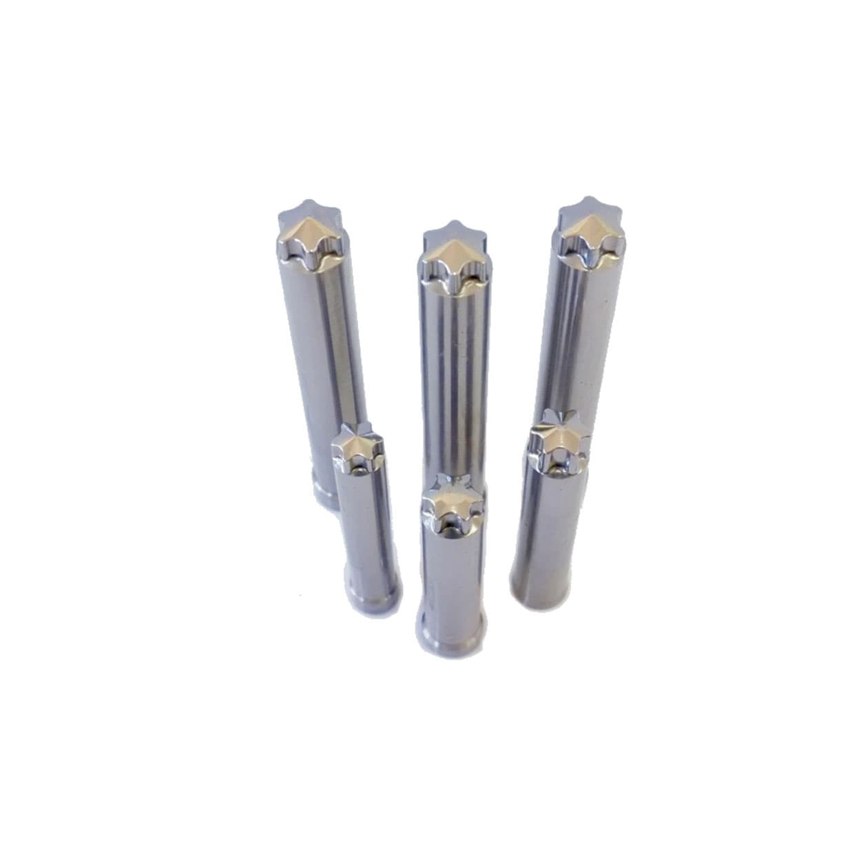 6 Lobe Recess Punch Pins